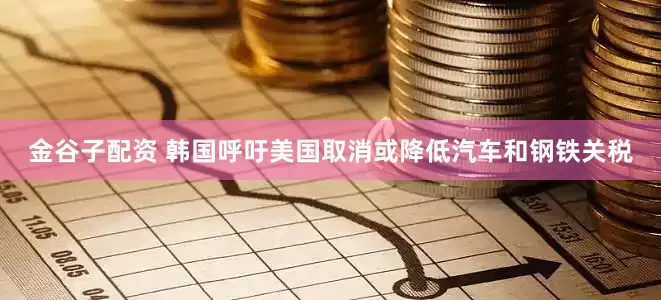 金谷子配资 韩国呼吁美国取消或降低汽车和钢铁关税