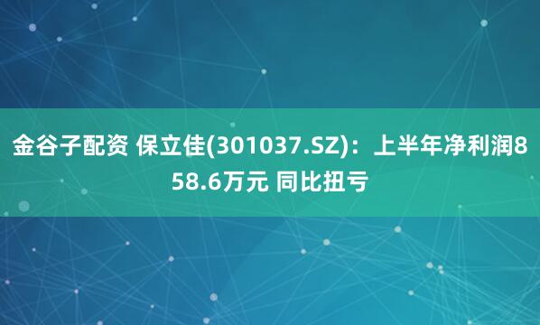 金谷子配资 保立佳(301037.SZ)：上半年净利润858.6万元 同比扭亏