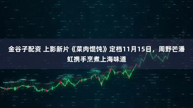 金谷子配资 上影新片《菜肉馄饨》定档11月15日，周野芒潘虹携手烹煮上海味道