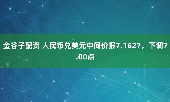 金谷子配资 人民币兑美元中间价报7.1627，下调7.00点