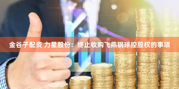 金谷子配资 力星股份：终止收购飞燕钢球控股权的事项