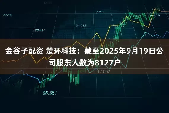 金谷子配资 楚环科技：截至2025年9月19日公司股东人数为8127户